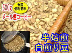 白煎り豆　ブラジルNO2 （500g）
