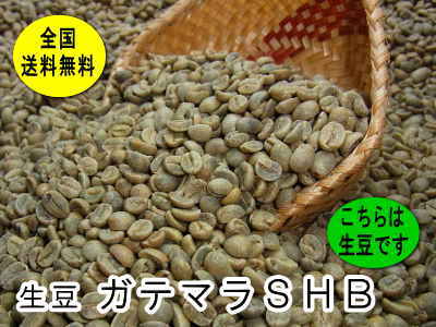 生豆　ガテマラSHB （800g）