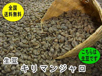 生豆　キリマンジャロ （800g）