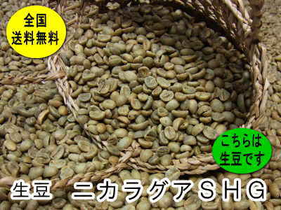 生豆　ニカラグアSHG （800g）