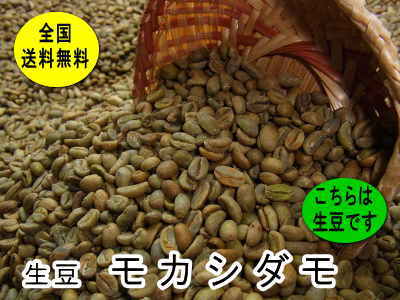 生豆　モカシダモ （800g）